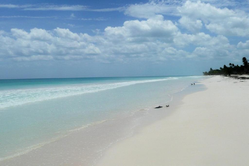 Casa Pelicanos Tulum Beach Mx - Next To Hotel Zone Экстерьер фото